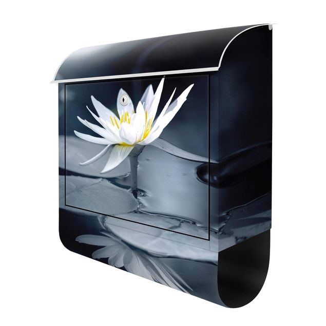 Briefkasten - Lotus Spiegelung im Wasser