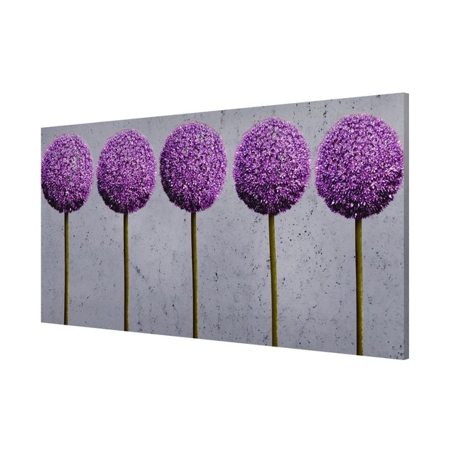 Magnettafel Design Allium Kugel-Blüten
