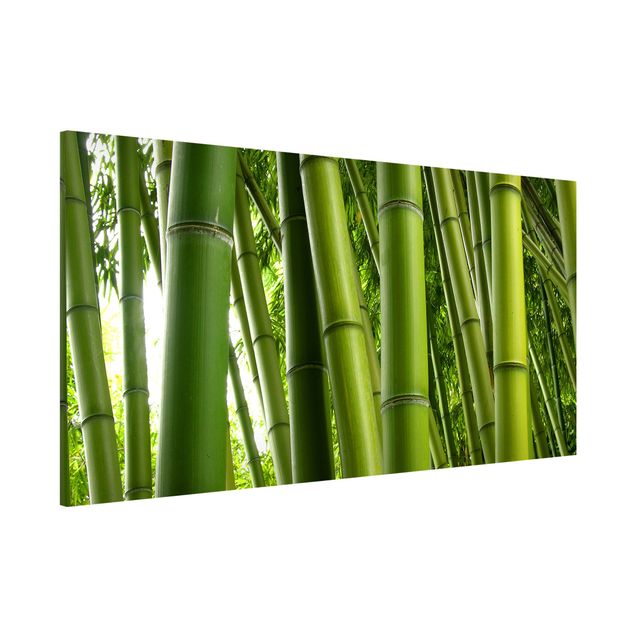 Magnettafeln Natur Bamboo Trees