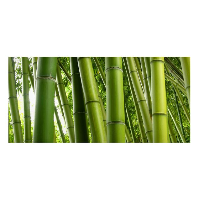 Bilder Bamboo Trees