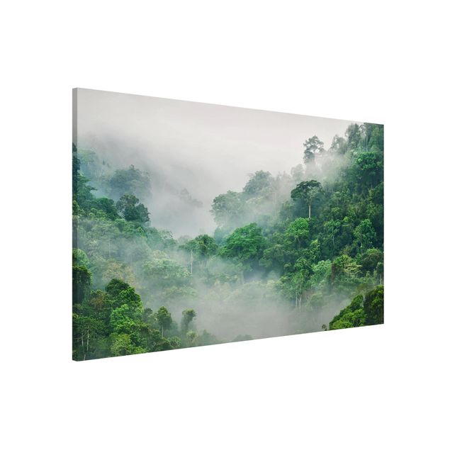 Magnettafeln Natur Dschungel im Nebel