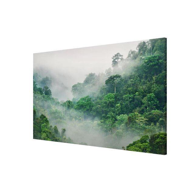 Magnettafel Design Dschungel im Nebel