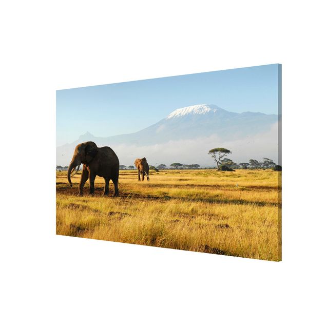 Magnettafel Motiv Elefanten vor dem Kilimanjaro in Kenya
