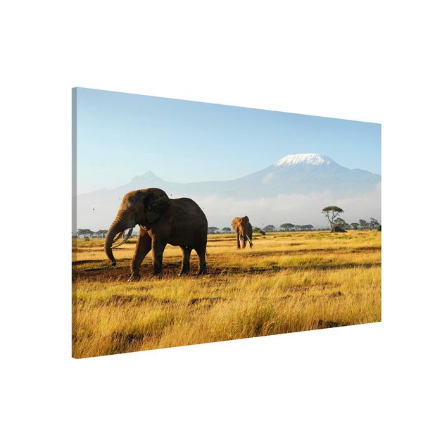Magnettafeln Natur Elefanten vor dem Kilimanjaro in Kenya