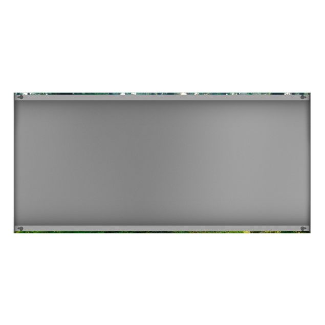 Magnettafel - Enlightened Forest - Memoboard Panorama Quer