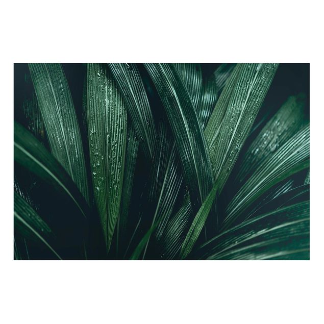 Wandbilder Grüne Palmenblätter