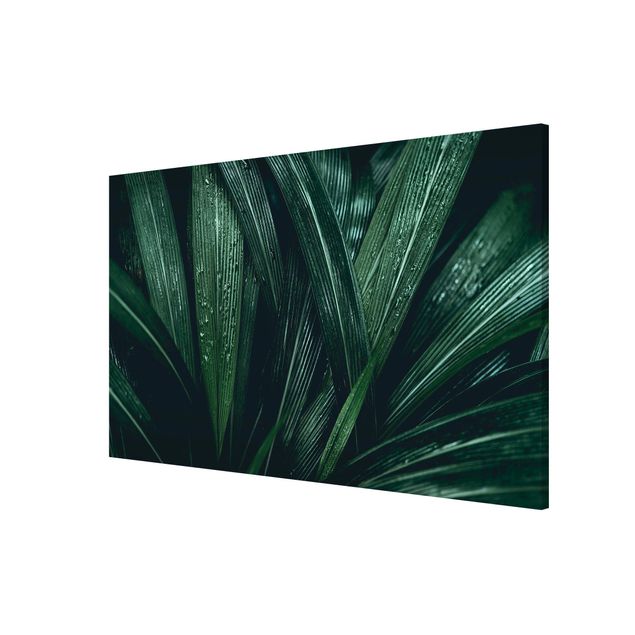 Magnettafel Motiv Grüne Palmenblätter