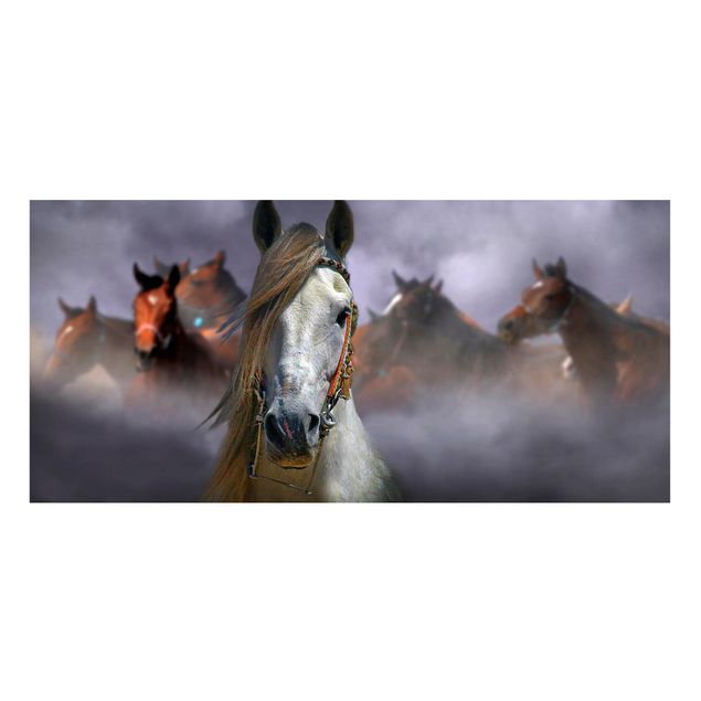 Magnettafel mit Motiv Horses in the Dust