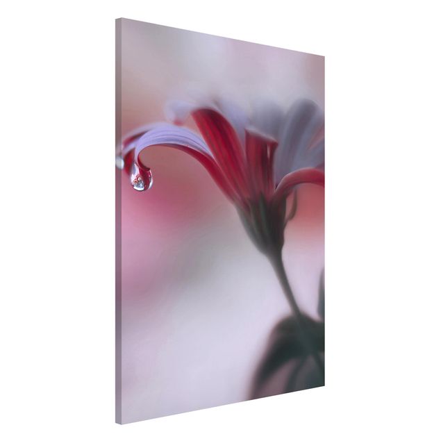 Magnettafel Blume Invisible Touch