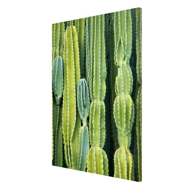 Magnettafel mit Motiv Kaktus Wand