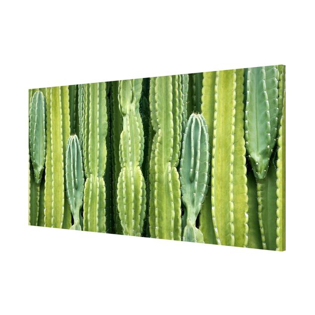 Magnettafel Design Kaktus Wand