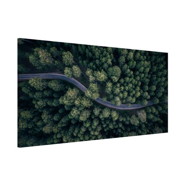 Magnettafeln Natur Luftbild - Waldstraße von Oben