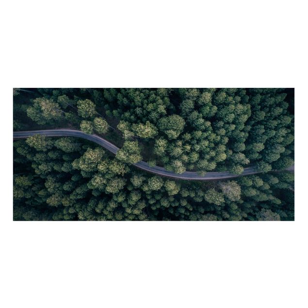 Bilder Luftbild - Waldstraße von Oben