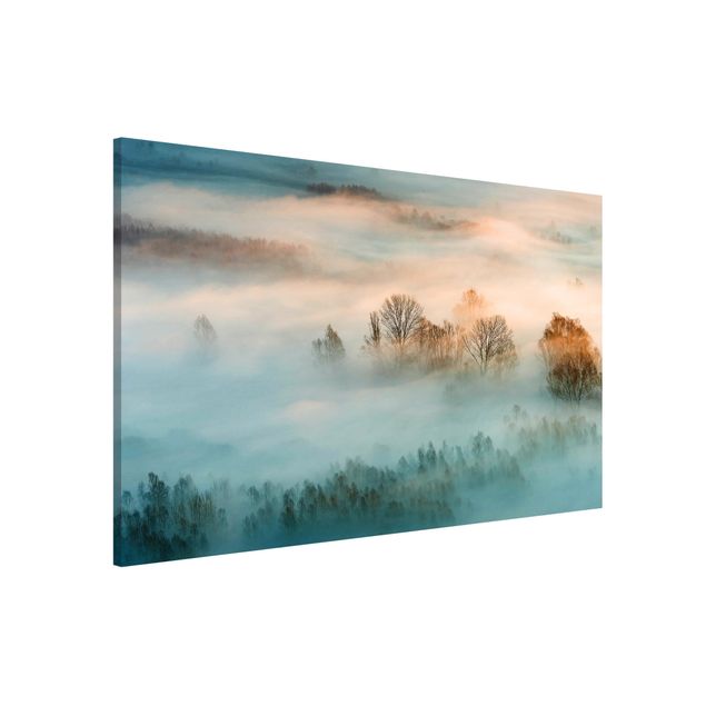 Magnettafeln Natur Nebel bei Sonnenaufgang
