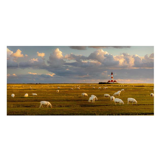 Wandbilder Nordsee Leuchtturm mit Schafsherde