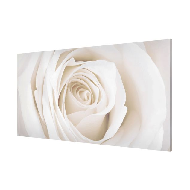 Magnettafel mit Motiv Pretty White Rose
