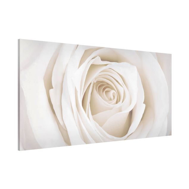 Magnettafel Blume Pretty White Rose