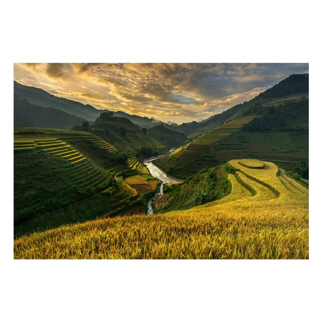 schöne Bilder Reisplantagen in Vietnam