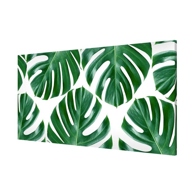 Magnettafel Design Tropische grüne Blätter Monstera