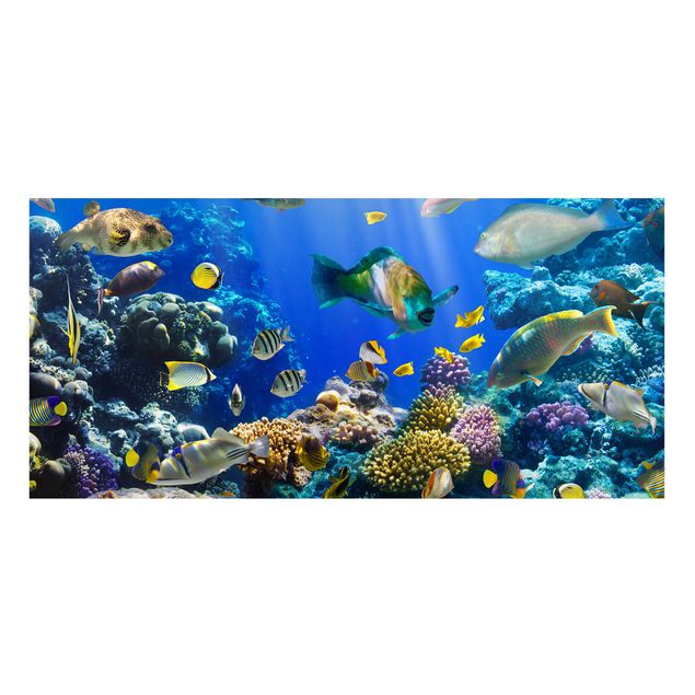 Magnettafel Design Underwater Reef