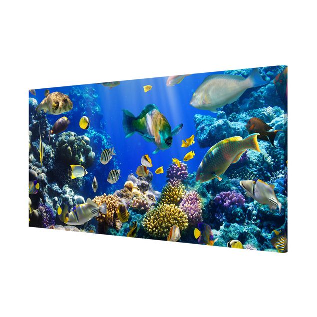 Magnettafel - Underwater Reef - Memoboard Panorama Quer