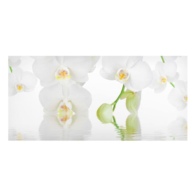 Wandbilder Orchideen Wellness Orchidee