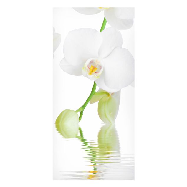 Bilder Orchideen Wellness Orchidee