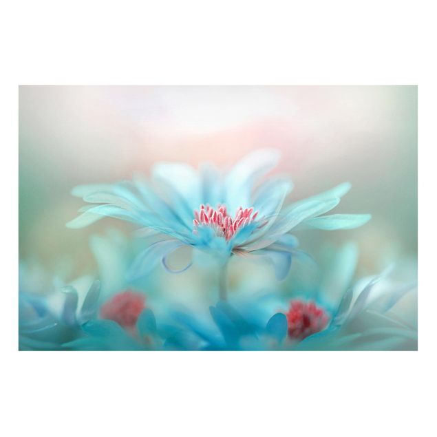 Bilder Zarte Blüten in Pastell