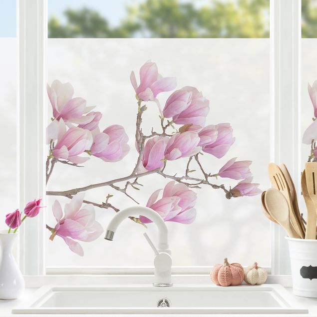 Fensterfolie Blumen Magnolienzweig