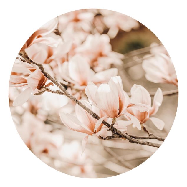 schöne Tapeten Magnolienzweige im Vintagestil