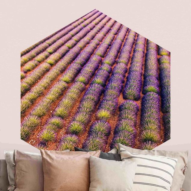Design Tapeten Malerisches Lavendelfeld