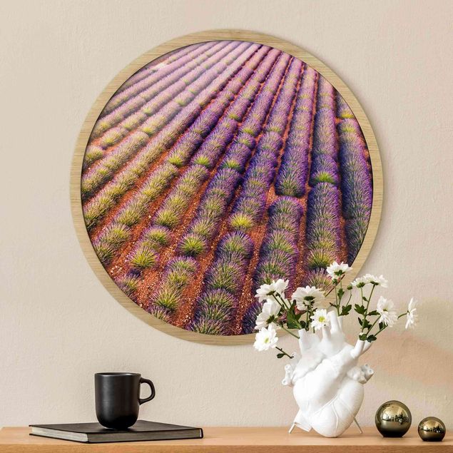 Moderne Bilder mit Rahmen Malerisches Lavendelfeld