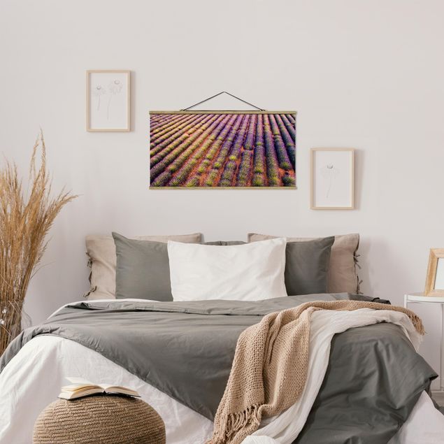 Wandbilder Malerisches Lavendelfeld