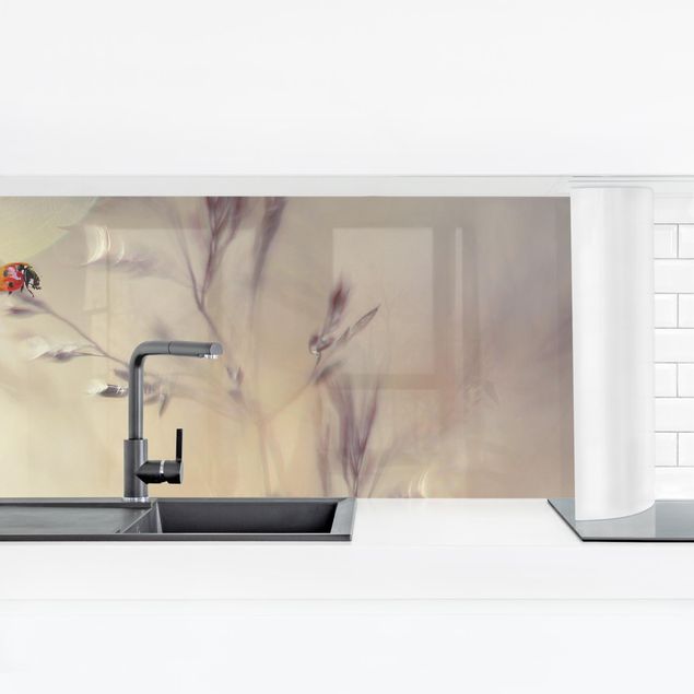 Küchenrückwand - Marienkäfer auf Wiesengras