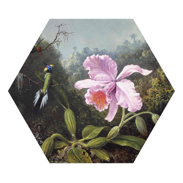Hexagon-Forexbild - Martin Johnson Heade - Stillleben mit Orchidee und zwei Kolibris