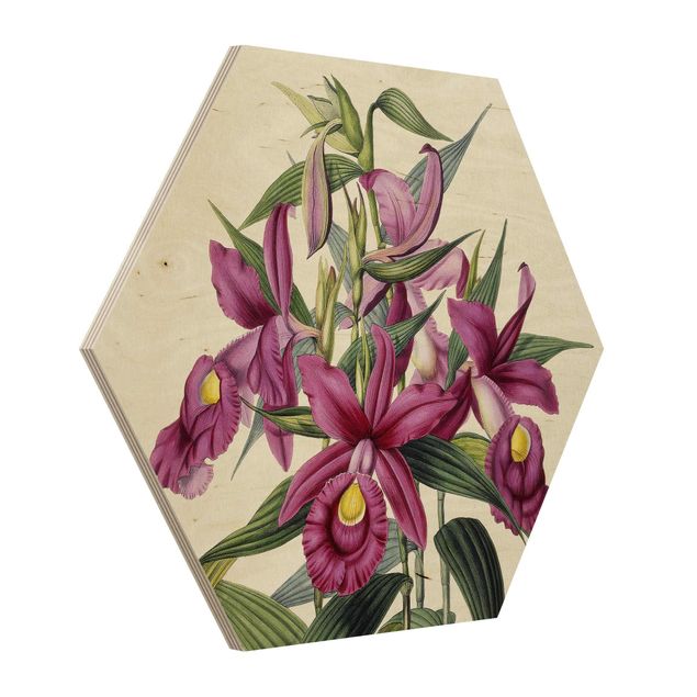Hexagon-Holzbild - Maxim Gauci - Orchidee I