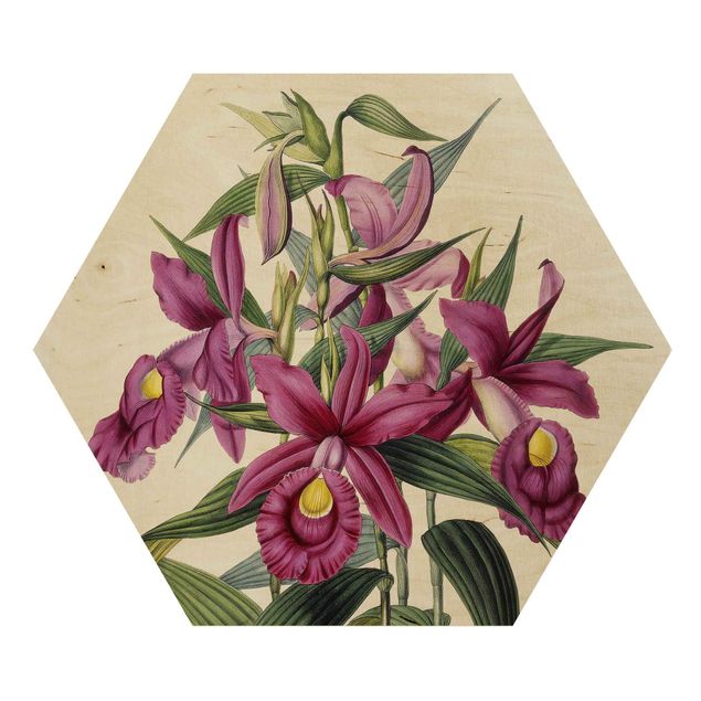Hexagon-Holzbild - Maxim Gauci - Orchidee I