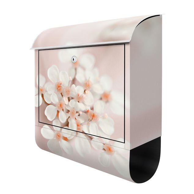 Design Briefkasten Miniblüten im Rosanen Licht