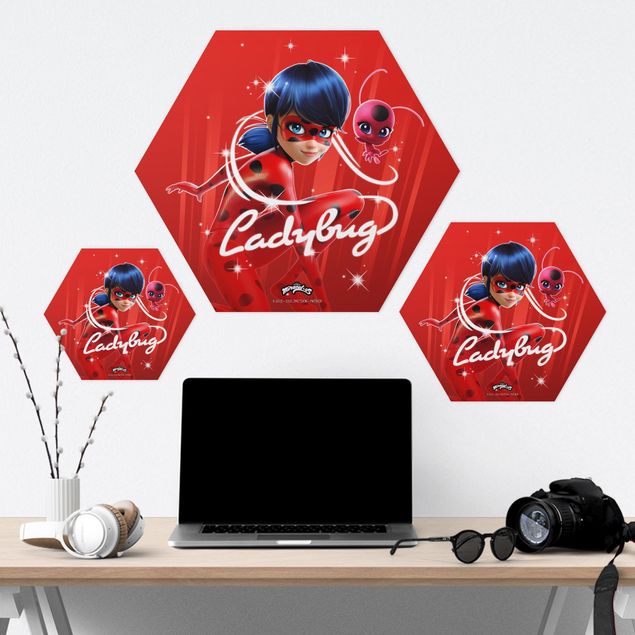 Hexagon-Forexbild - Miraculous Ladybug und Trixx