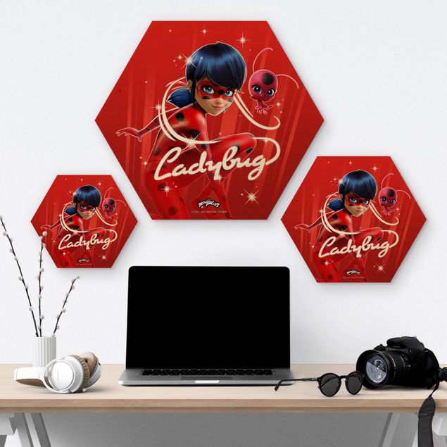Hexagon-Holzbild - Miraculous Ladybug und Trixx