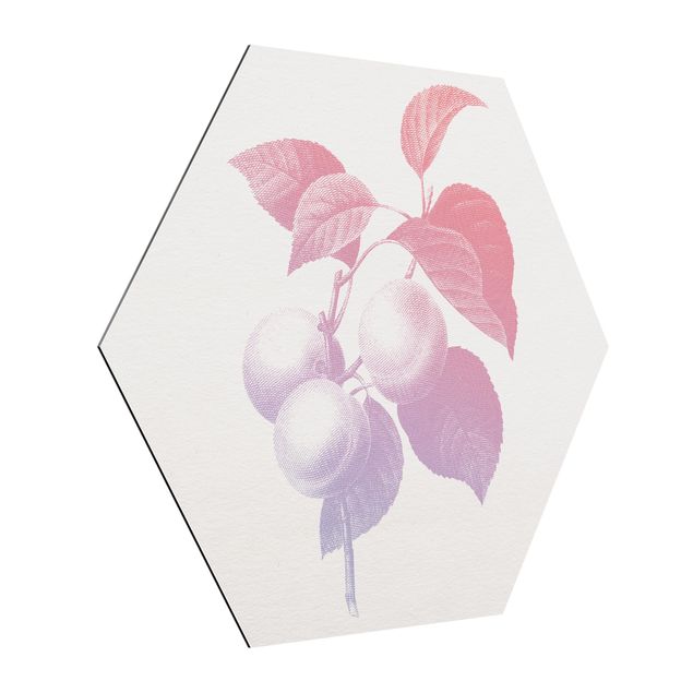 Hexagon-Alu-Dibond Bild - Modern Vintage Botanik Pfirsich Rosa Violett