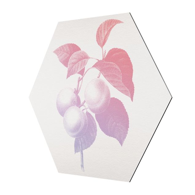 Hexagon-Alu-Dibond Bild - Modern Vintage Botanik Pfirsich Rosa Violett