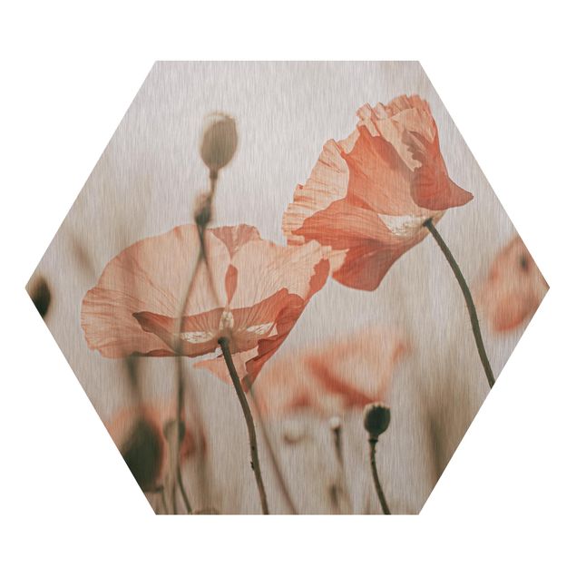 Hexagon Bild Alu-Dibond - Mohnblüten im Sommerwind