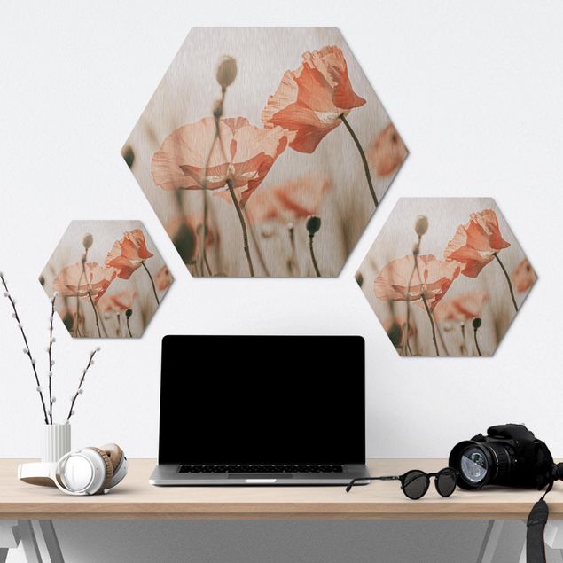 Hexagon Bild Alu-Dibond - Mohnblüten im Sommerwind