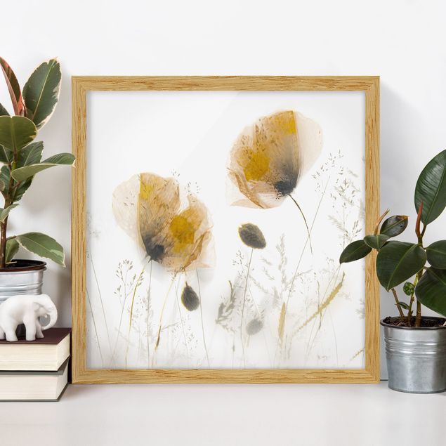Moderne Bilder mit Rahmen Mohnblumen und zarte Gräser im weichen Nebel
