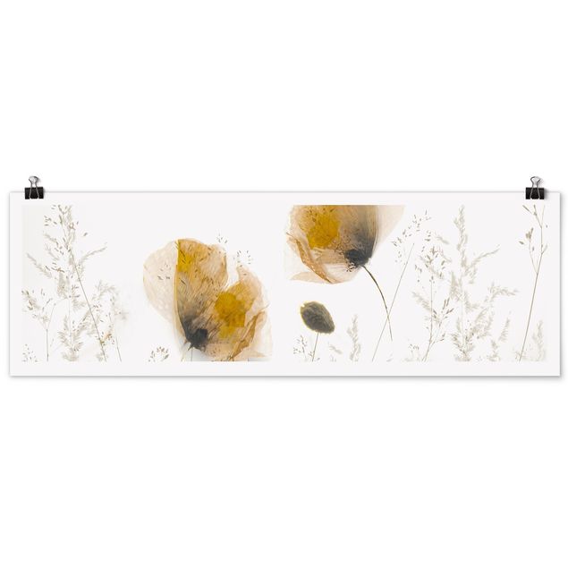 Moderne Poster Mohnblumen und zarte Gräser im weichen Nebel