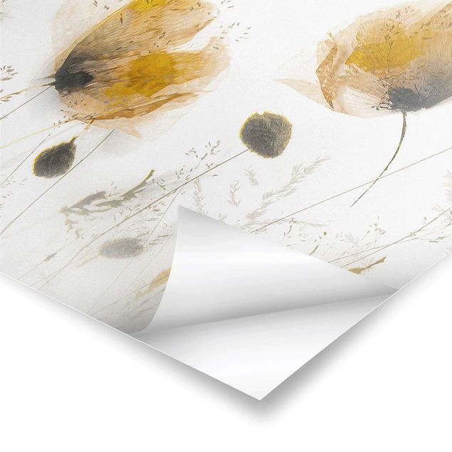 Poster - Mohnblumen und zarte Gräser im weichen Nebel - Quadrat 1:1