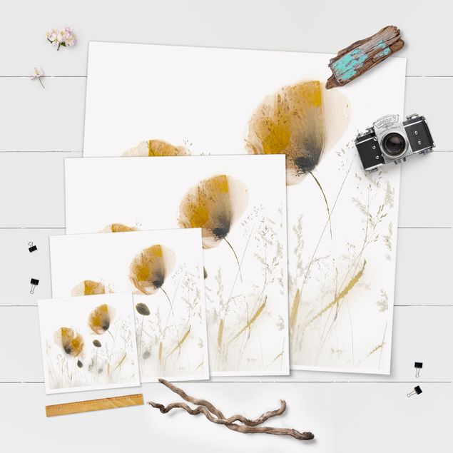 Poster - Mohnblumen und zarte Gräser im weichen Nebel - Quadrat 1:1