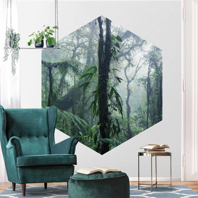 Design Tapeten Monteverde Nebelwald