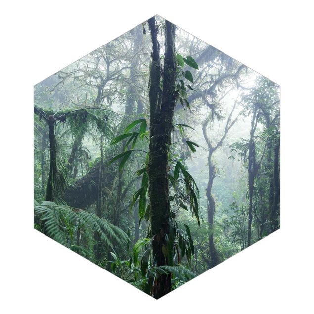 Tapeten Monteverde Nebelwald